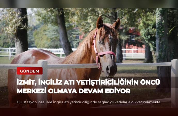 news card 0cd48c6936b2d819