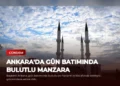 news card 0eaf6c2f5064968c