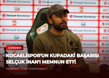 news card 113ca35ce224ebe5