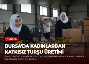 news card 1175d117b0ab7161