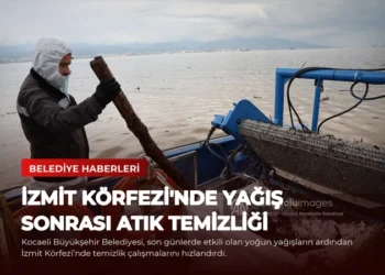 news card 11a333c87d9250c3