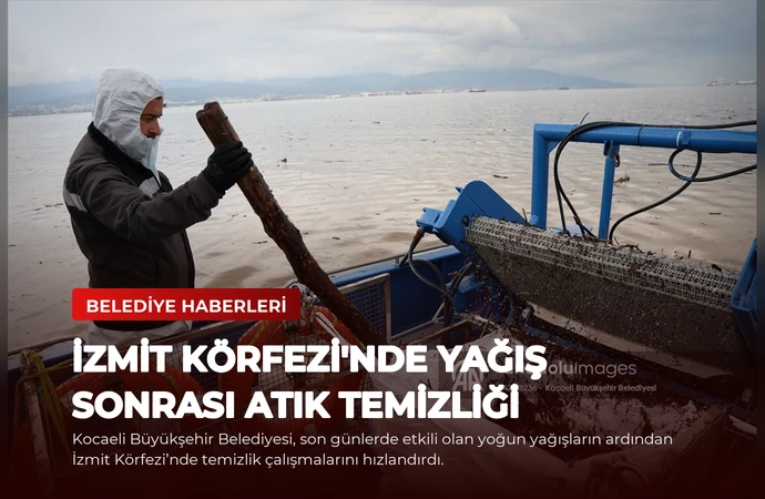 news card 11a333c87d9250c3