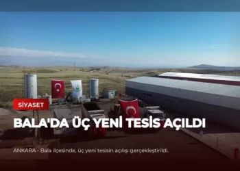 news card 1428e8e3d121cee9