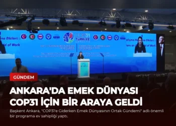 news card 1459146f4a50aa90
