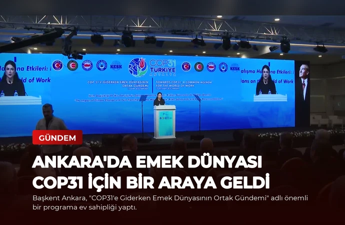 news card 1459146f4a50aa90