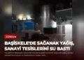 news card 14aa79692d7f2743
