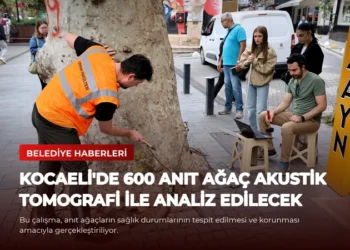 news card 1a120e6407df1074