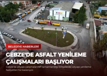 news card 1a7b12aad5c077f8