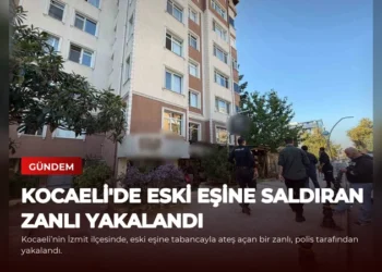 news card 1e522eac45bd3acd