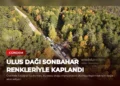 news card 1f26c120418a5d76