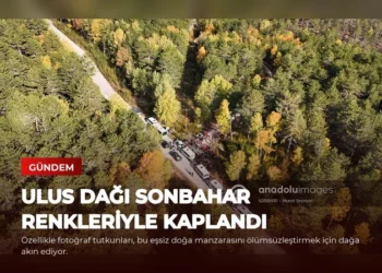 news card 1f26c120418a5d76