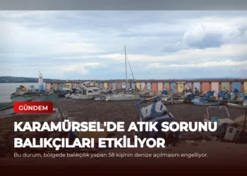 news card 1f4e368a6677ab16