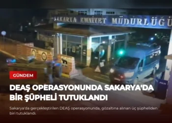 news card 204b1dec1b794873