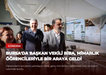 news card 215d76e8c92c59a5