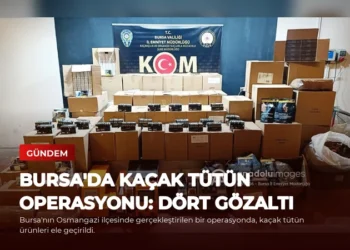 news card 218b9b19fedac1e7