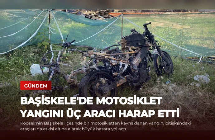 news card 22b2e287323022fb