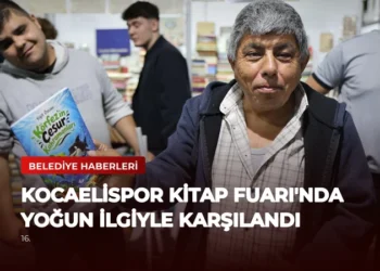 news card 239c47d1bbca0cf4