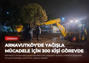 news card 249ad81a20e373f0