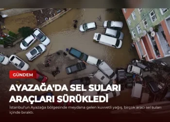 news card 24d15453f1e9f9c1