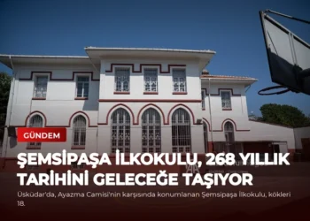news card 258c082c0c1a313a