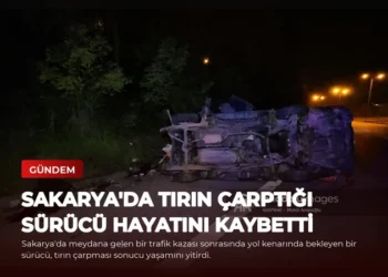 news card 26dd1b30028e57bb