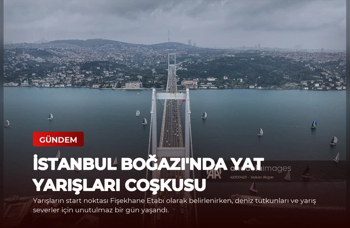 news card 2818e2edfcc7b6ec
