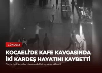 news card 29cbecdcb253126d
