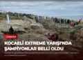 news card 2c949576f1c8e81f