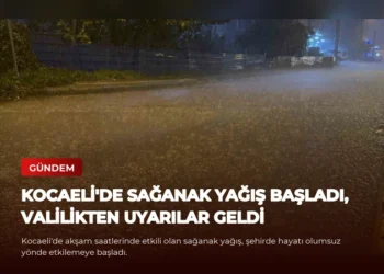 news card 2cb3eaedf0115c46