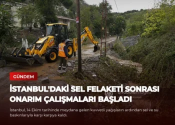 news card 2ea53d3c63f7ee7f