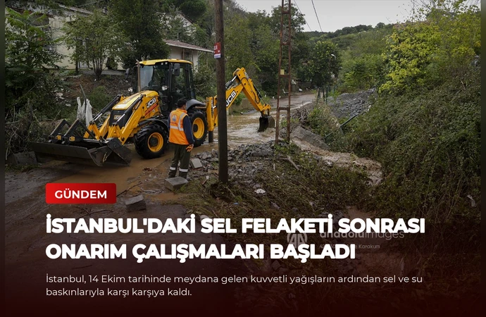 news card 2ea53d3c63f7ee7f