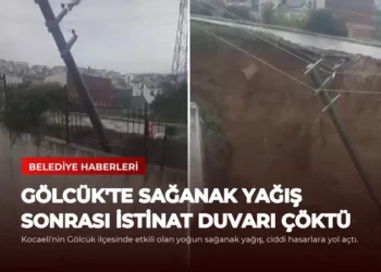 news card 336f44b2061cbe2b