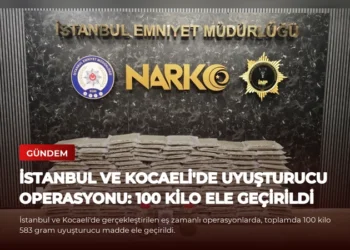 news card 343c7352fb091c24