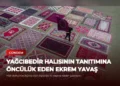 news card 37bb2650f128cf0e