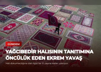 news card 37bb2650f128cf0e