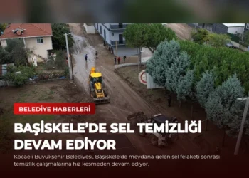 news card 3843ee4795da10ee
