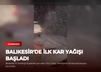 news card 393ac57f120f42d7