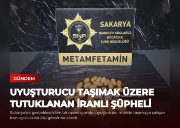 news card 3941812e8ff925f8