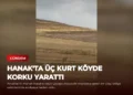 news card 398788f0e5681aa3