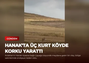 news card 398788f0e5681aa3