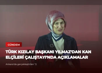 news card 3a214dc759686266
