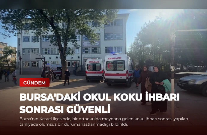 news card 3a2ad519bb3dd083
