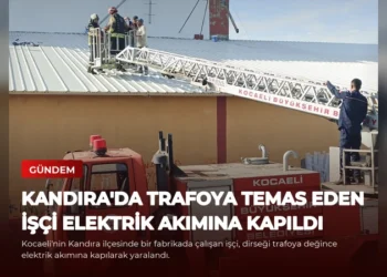news card 3ac7fd213d376259