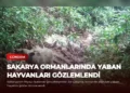 news card 3babb11d1e648f06