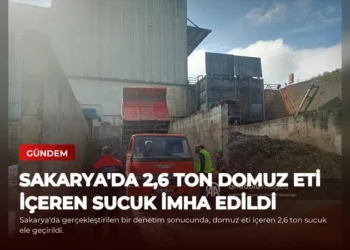 news card 3d8b343d26e68771
