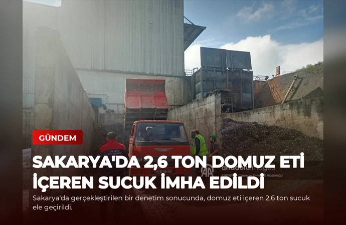news card 3d8b343d26e68771