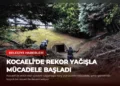 news card 43e3e5a414f872ff