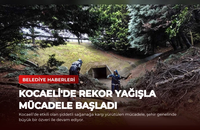 news card 43e3e5a414f872ff