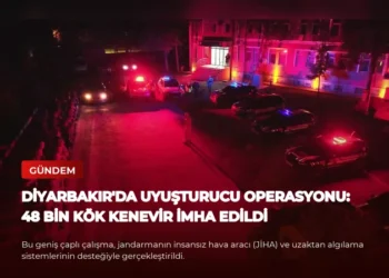 news card 465c7dddc61be469