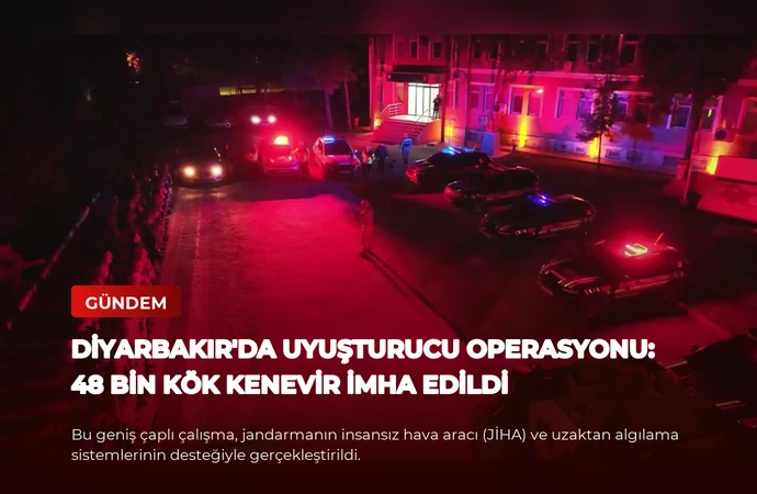 news card 465c7dddc61be469